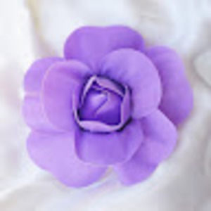 Meet your Posher, Bertrell